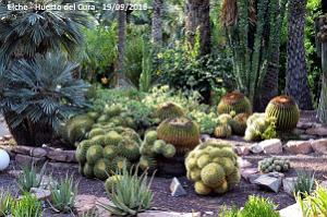 19 ELCHE HUERTO DEL CURA (104)